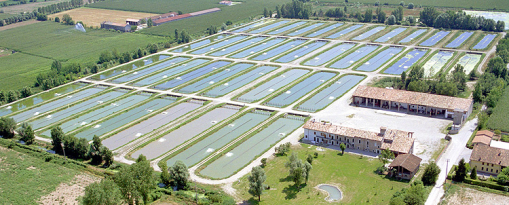pisciculture en plaine agricole
